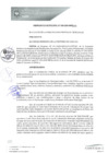 Vista preliminar de documento 0008-2020-MPHy