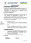Vista preliminar de documento TDR_COMPONENTE_elaborac_exp_tec_obra