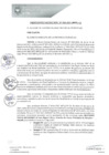 Vista preliminar de documento 0004-2021-MPHy