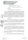 Vista preliminar de documento 0018-2021-MPHy