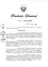 Vista preliminar de documento RD N° 325-2024