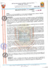 Vista preliminar de documento 19032