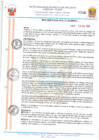 Vista preliminar de documento 19175