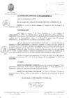 Vista preliminar de documento 0095-2009-MPHy