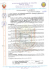 Vista preliminar de documento 20031