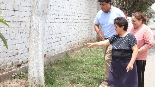 Municipalidad recupera calles afectadas por huaicos 