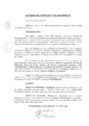Vista preliminar de documento 0052-2010-MPHy