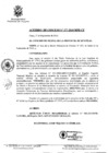 Vista preliminar de documento 0177-2010-MPHy