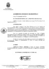 Vista preliminar de documento 0183-2010-MPHy