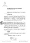 Vista preliminar de documento 0291-2010-MPHy