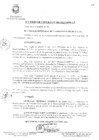 Vista preliminar de documento 0086-2011-MPHy