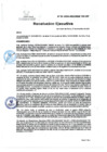 Vista preliminar de documento RE Nº 65- 2024-OEAINSM-HD-HN