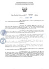 Vista preliminar de documento RD 2724-2024NX