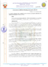 Vista preliminar de documento 20033