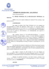 Vista preliminar de documento 0067-2013-MPHy