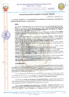 Vista preliminar de documento 20084