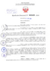 Vista preliminar de documento Resolución Directoral. N° 2422 - 2024 
