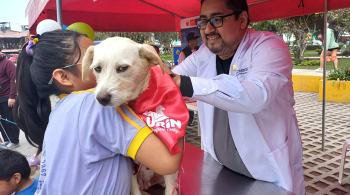 Diris Lima Sur realiza campañas veterinarias con énfasis en prevenir la rabia en su jurisdicción