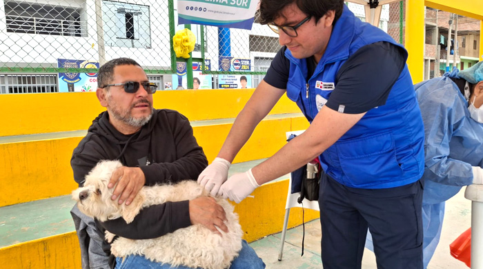 Diris Lima Sur realiza campañas veterinarias con énfasis en prevenir la rabia en su jurisdicción