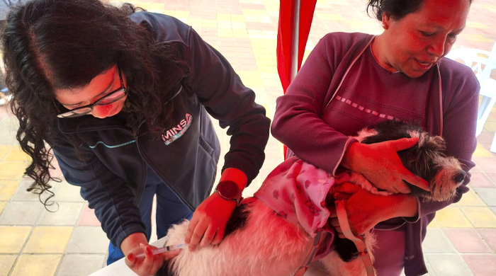 Diris Lima Sur realiza campañas veterinarias con énfasis en prevenir la rabia en su jurisdicción