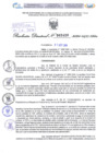Vista preliminar de documento Resolución Directoral. N° 2426 - 2024 