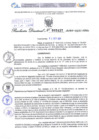 Vista preliminar de documento Resolución Directoral. N° 2427 - 2024 