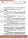 Vista preliminar de documento df_2424234.017_Resol492