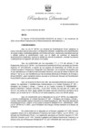 Vista preliminar de documento RD-223