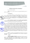 Vista preliminar de documento 0041-2015-MPHy