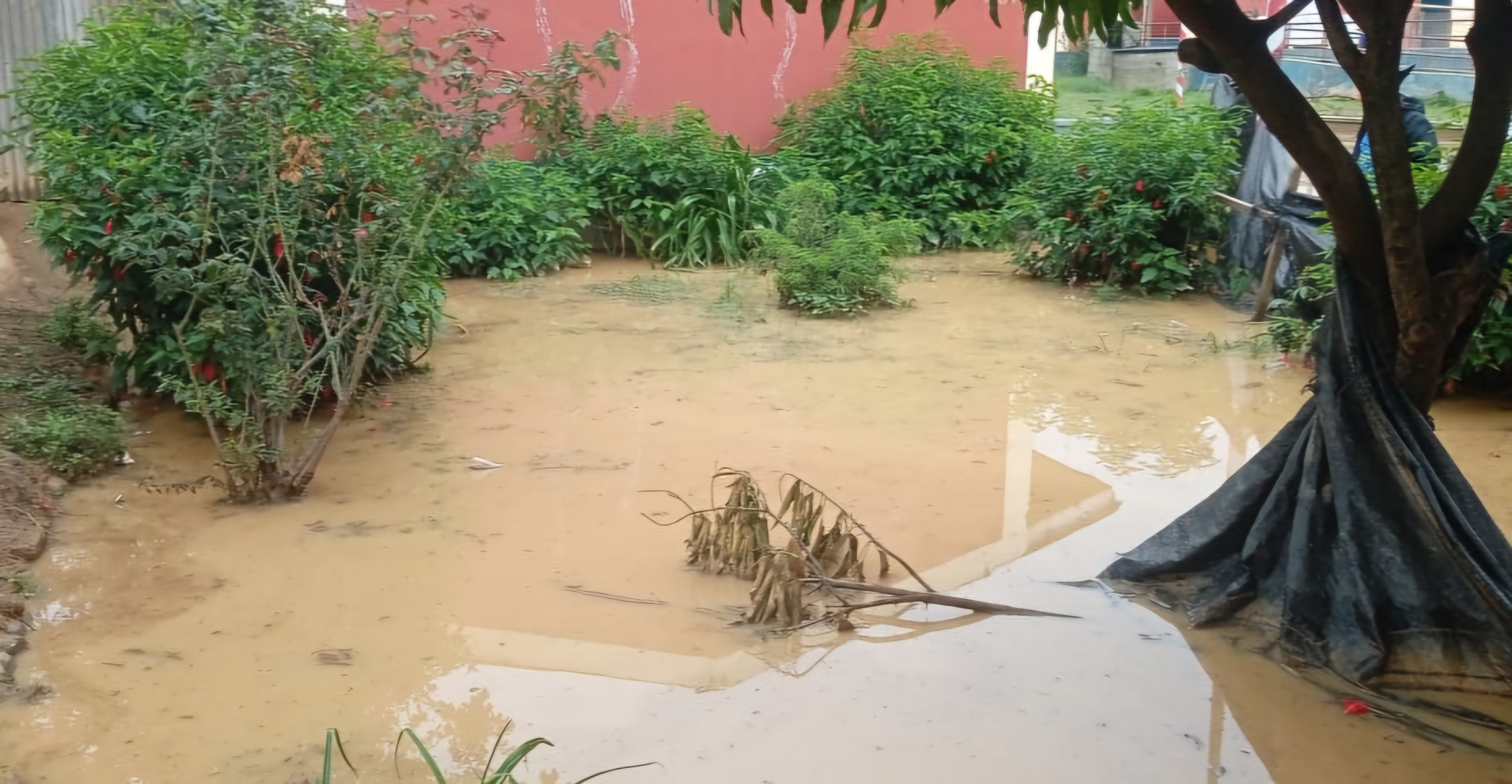 Pronied inició labores para recuperar siete instituciones educativas que sufrieron inundaciones