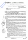 Vista preliminar de documento RES. REC. 1132-2024