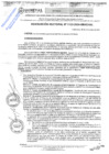 Vista preliminar de documento RES. REC. 1133-2024