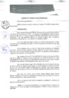 Vista preliminar de documento 0033-2018-MPHy