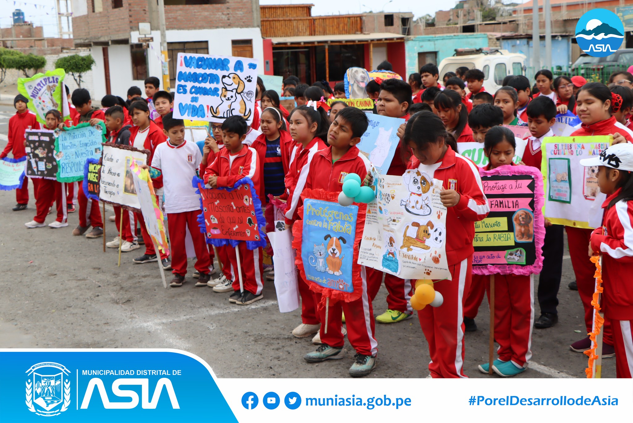 Con la finalidad de contribuir a la erradicación de la rabia en nuestro distrito, la Municipalidad Distrital de Asia en coordinación con la Microred de Salud Asia Coayllo, inició la Campaña de Vacunación Canina “Vancan 2024” en todos los anexos del distrito de Asia.
Previamente, el alcalde Isaias Alcántara Malasquez acompañado del personal de salud y estudiantes de la I.E.P Nº20123 Capilla de Asia, con mensajes alusivos al Van Can 2024, realizaron un pasacalle por las principales calles de Capilla de Asia, para luego dar paso a la jornada de vacunación a nuestras mascotas.
Recuerda que vacunar a nuestros perritos contra la rabia es un acto de amor y responsabilidad. Acércate al establecimiento de salud más cercano para vacunar a tu can, de manera gratuita.