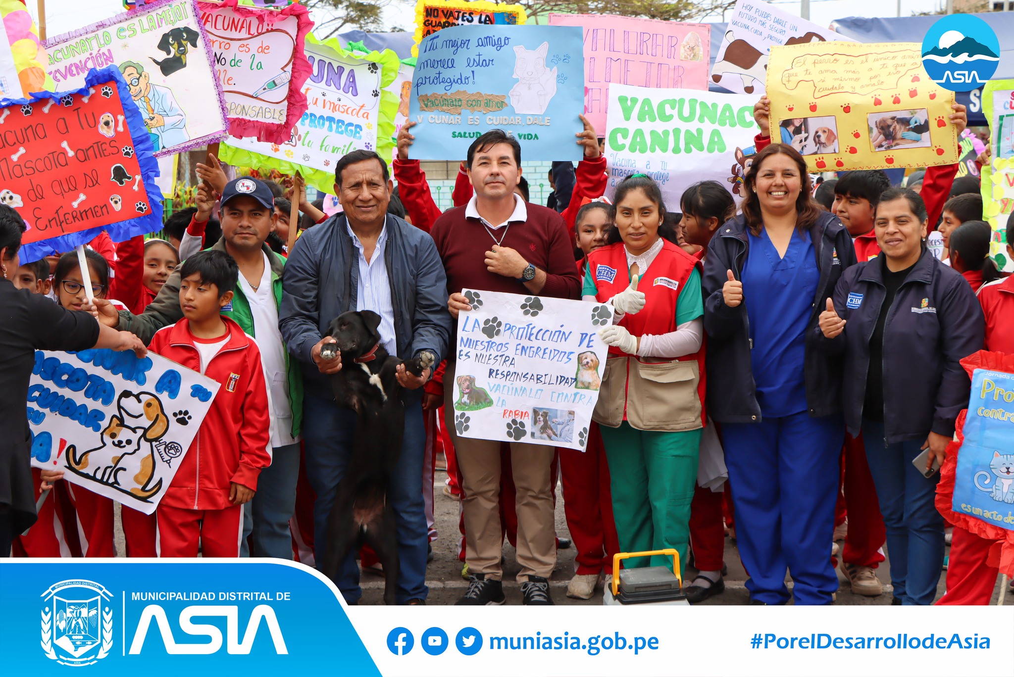 Con la finalidad de contribuir a la erradicación de la rabia en nuestro distrito, la Municipalidad Distrital de Asia en coordinación con la Microred de Salud Asia Coayllo, inició la Campaña de Vacunación Canina “Vancan 2024” en todos los anexos del distrito de Asia.
Previamente, el alcalde Isaias Alcántara Malasquez acompañado del personal de salud y estudiantes de la I.E.P Nº20123 Capilla de Asia, con mensajes alusivos al Van Can 2024, realizaron un pasacalle por las principales calles de Capilla de Asia, para luego dar paso a la jornada de vacunación a nuestras mascotas.
Recuerda que vacunar a nuestros perritos contra la rabia es un acto de amor y responsabilidad. Acércate al establecimiento de salud más cercano para vacunar a tu can, de manera gratuita.