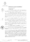 Vista preliminar de documento 0007-2010-MPHy