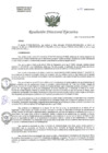 Vista preliminar de documento R.D.E Nº221-2024-HNAL-OEA