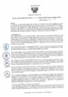 Vista preliminar de documento ra62
