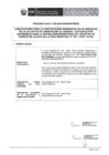 Vista preliminar de documento BASES 