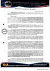 Vista preliminar de documento RA N° 105