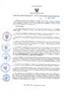Vista preliminar de documento RES-695-2024-GRDS