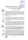 Vista preliminar de documento RER  541-2024-GOB