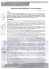 Vista preliminar de documento rgm-354