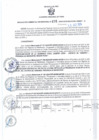 Vista preliminar de documento RGSR 235-2024