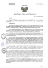 Vista preliminar de documento R.D.E Nº222-2024-HNAL-OEA