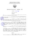 Vista preliminar de documento RD 2734-2024NX