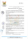 Vista preliminar de documento 376-2024-MPHH