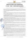 Vista preliminar de documento 822-2024-SGDP/GDEYCA/MPH