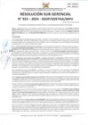 Vista preliminar de documento 923-2024-SGDP/GDEYCA/MPH