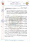 Vista preliminar de documento 21025